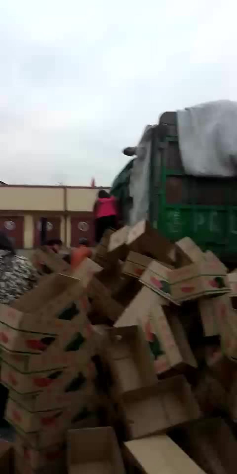 黑美人西瓜