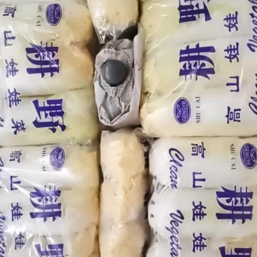 金品娃娃菜