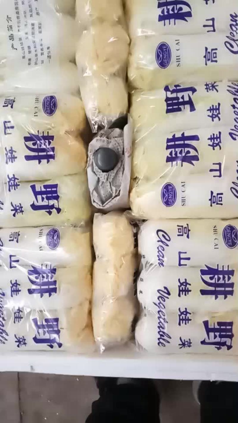 金品娃娃菜