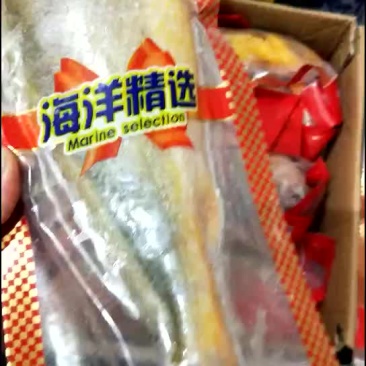 黄花鱼