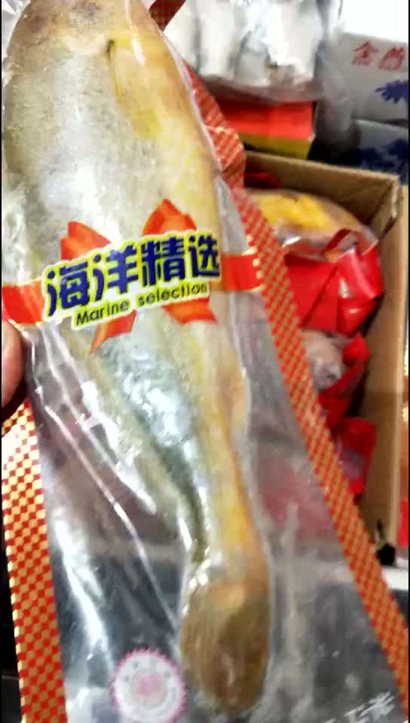 黄花鱼