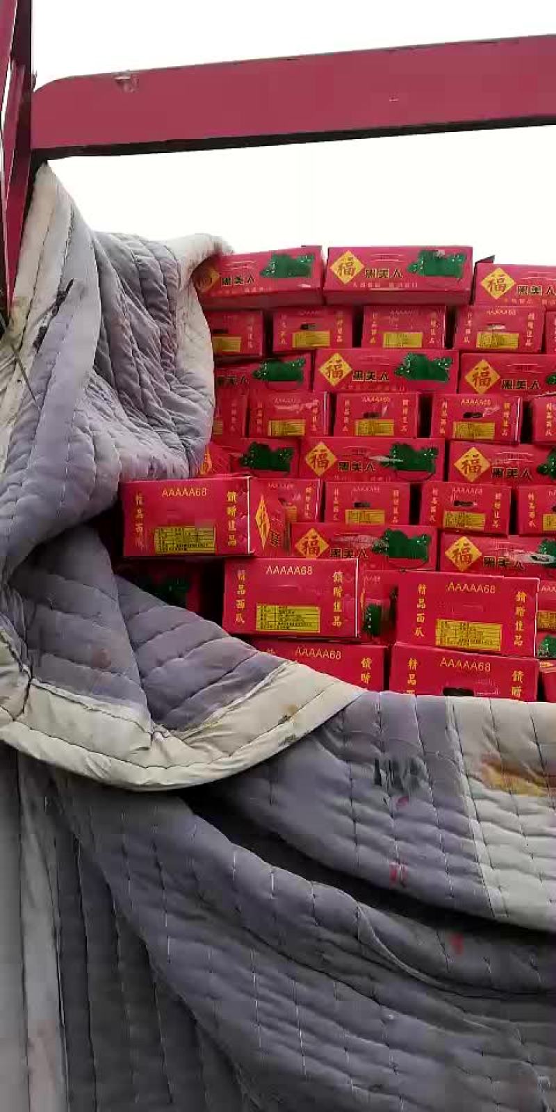 黑美人西瓜