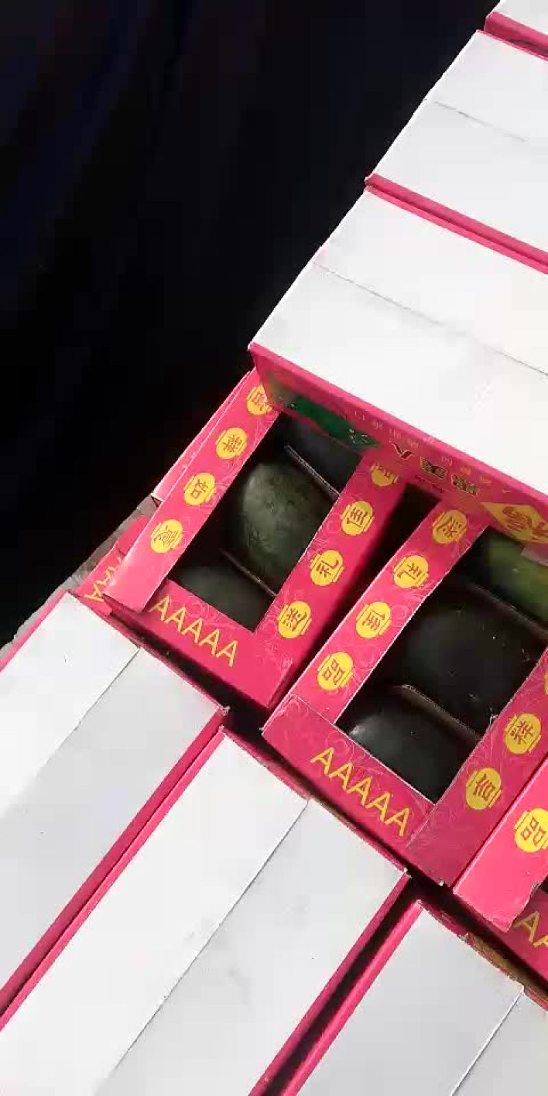 黑美人西瓜