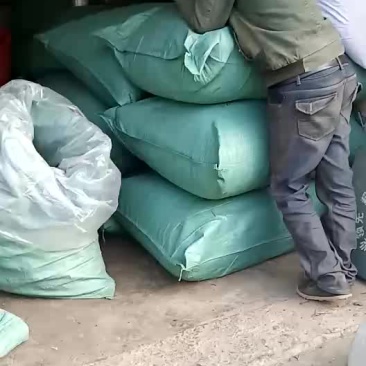 青花椒