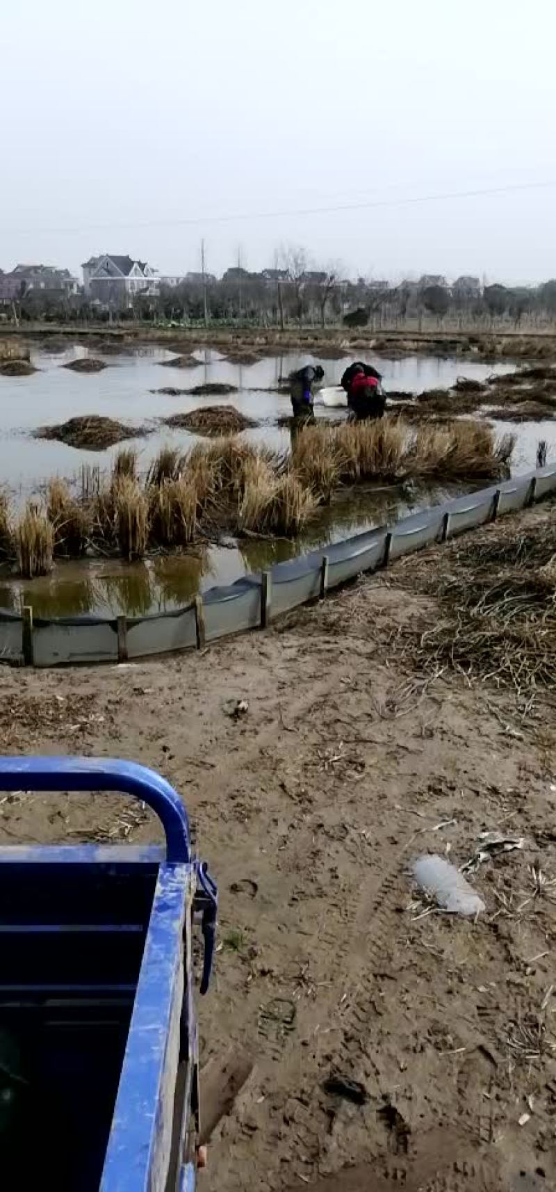水产种苗