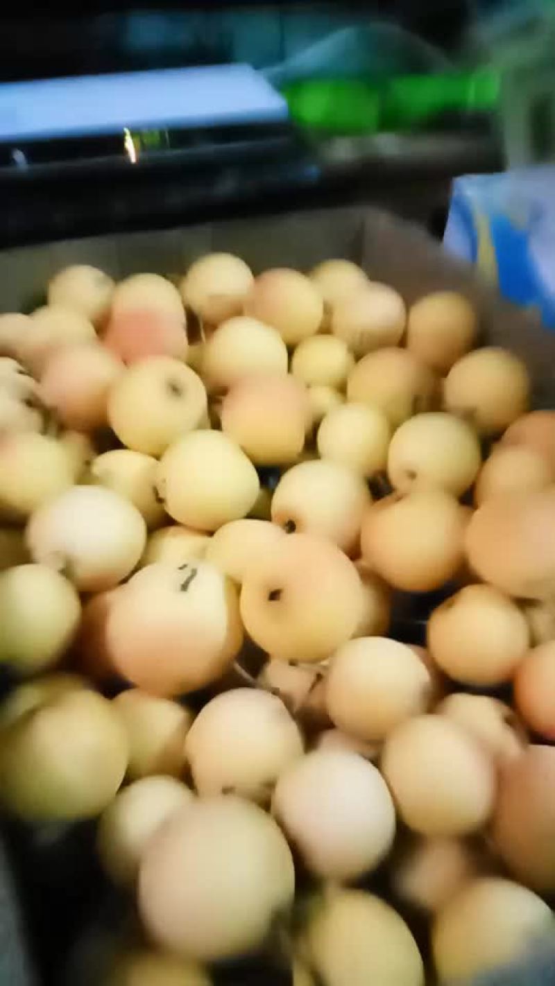 有要南果梨的吗长春市附近
