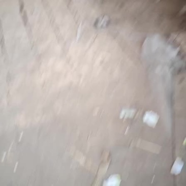 核桃便宜了
