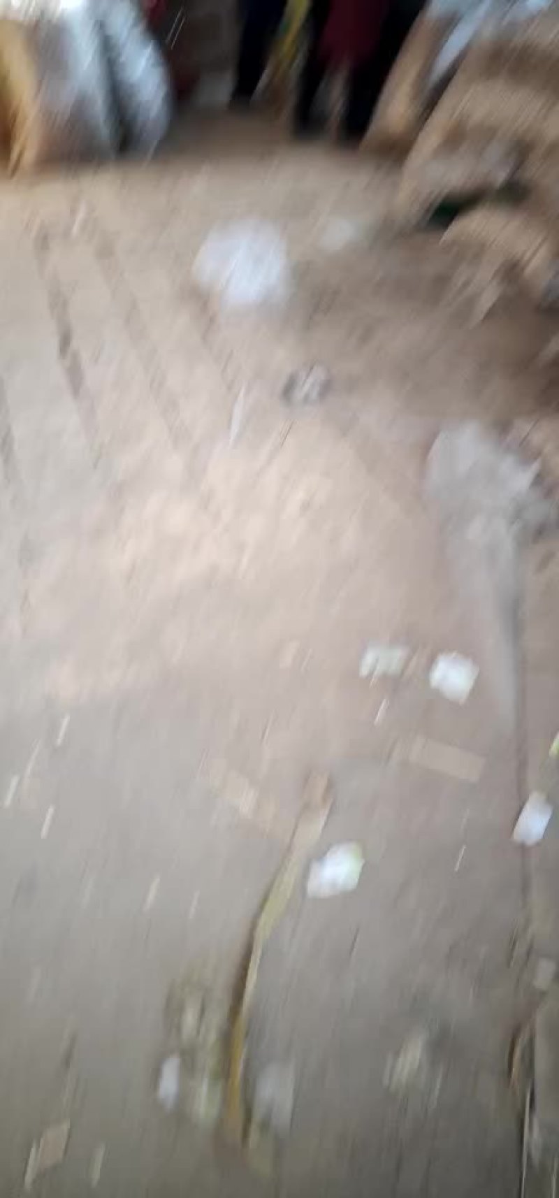 核桃便宜了