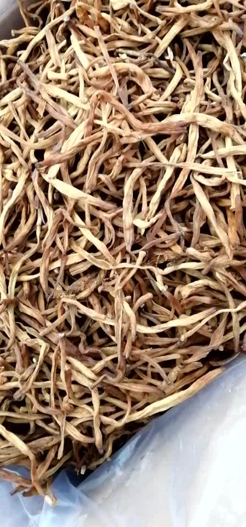 黄花菜