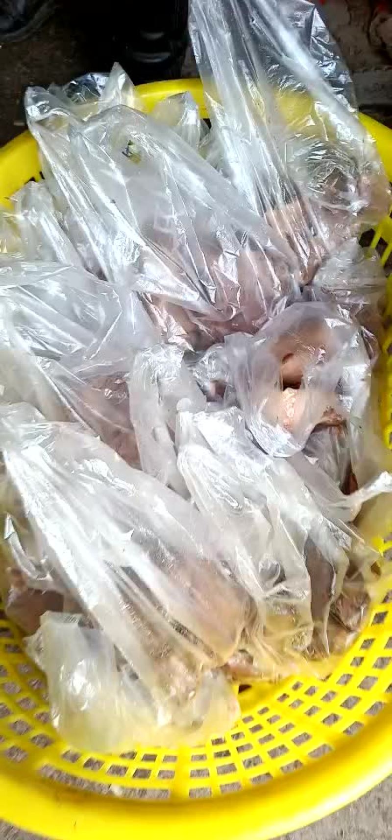 驴肉批发零售