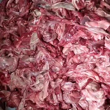 小羊腿肉