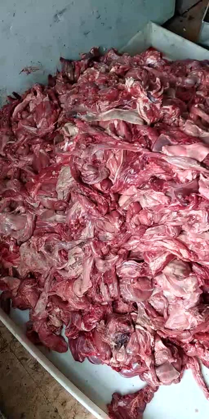 小羊腿肉