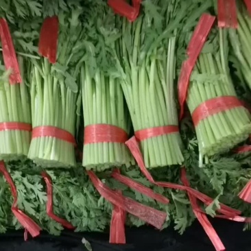精品茼蒿