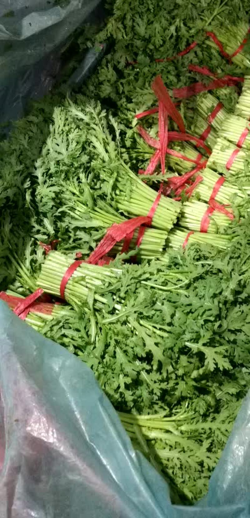 茼蒿