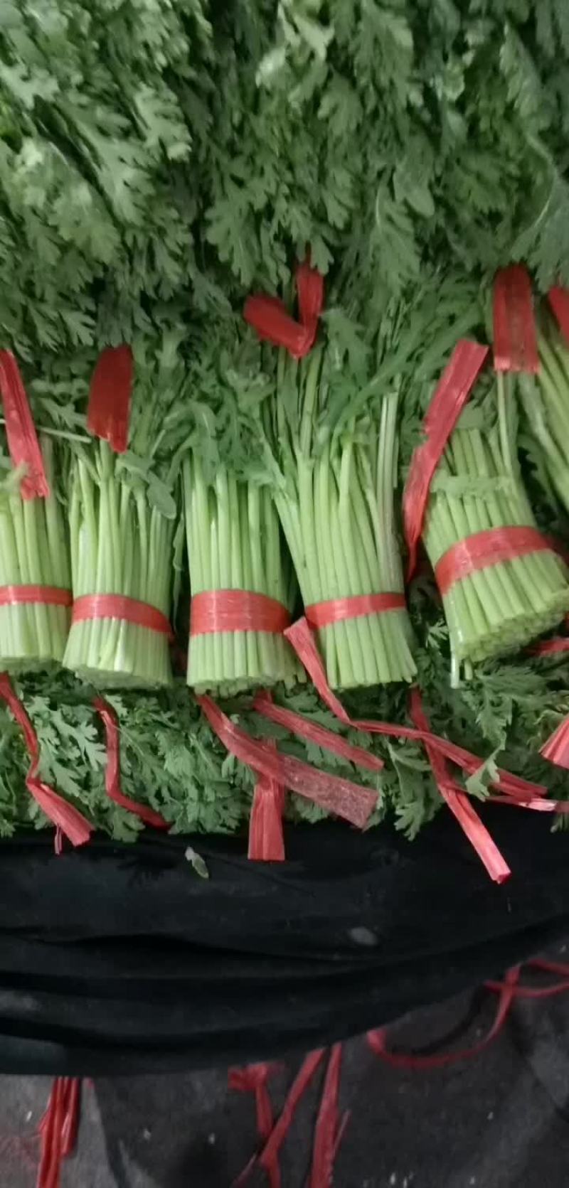 茼蒿