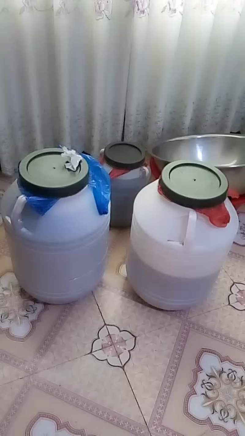 湖南湘西自治州凤凰古城廖家桥镇巨峰葡萄酒农家自酿造葡萄酒