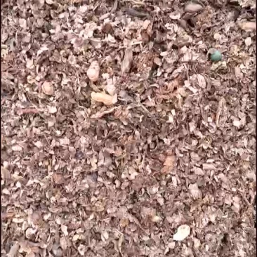 优质腐熟花生壳