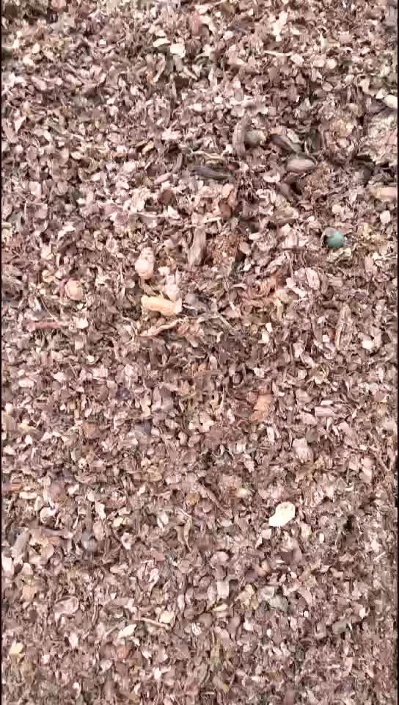 优质腐熟花生壳