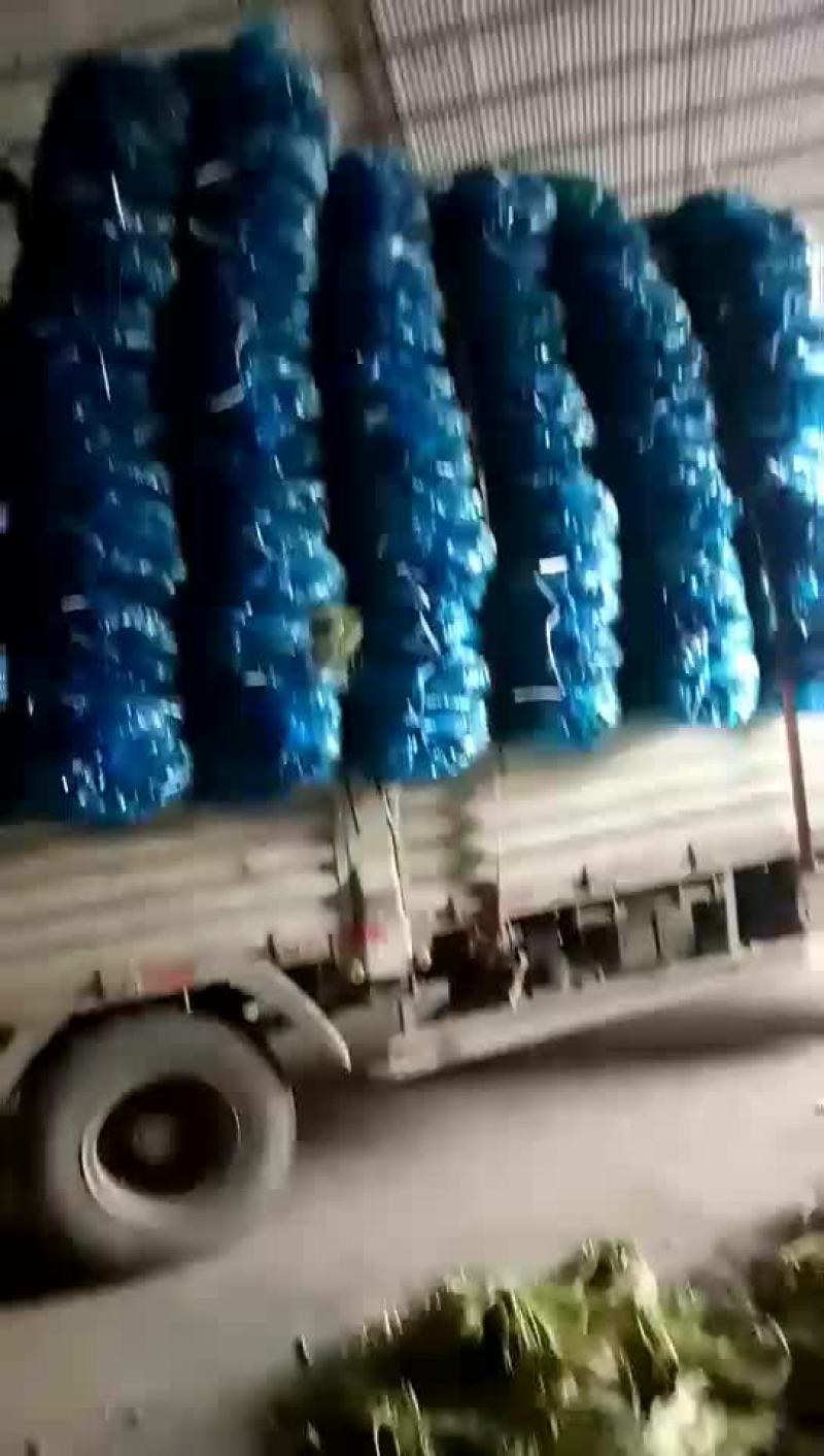 蒜苔