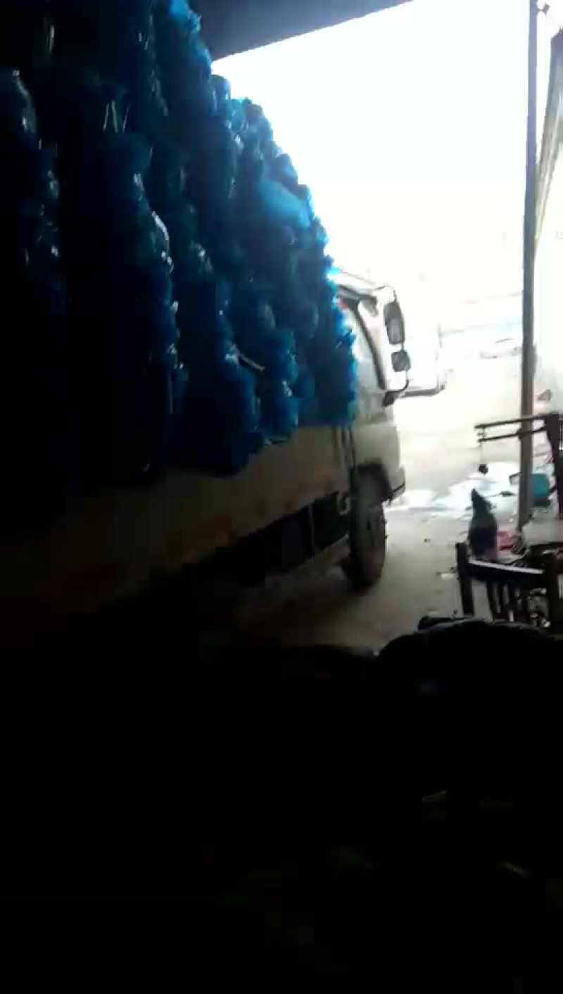 蒜苔
