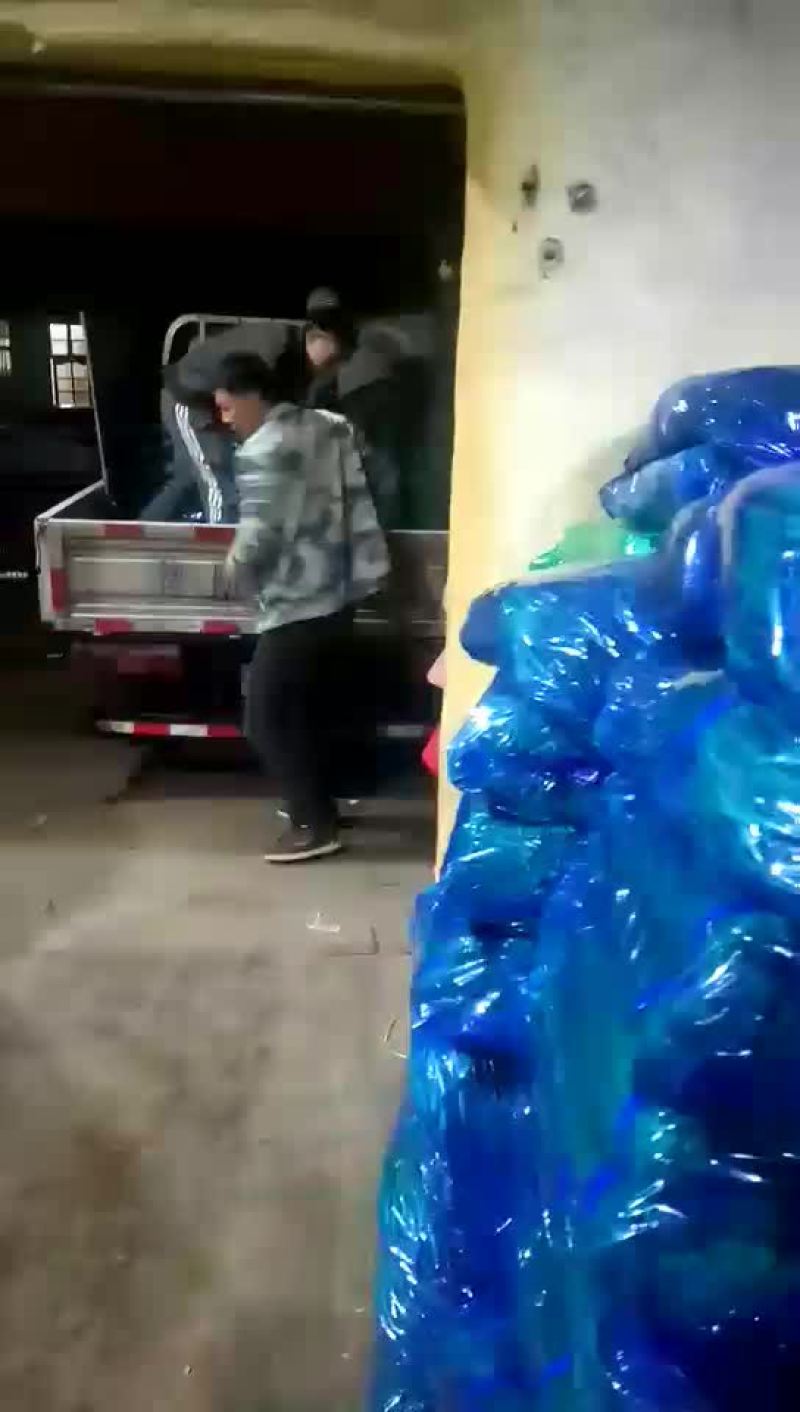 蒜苔