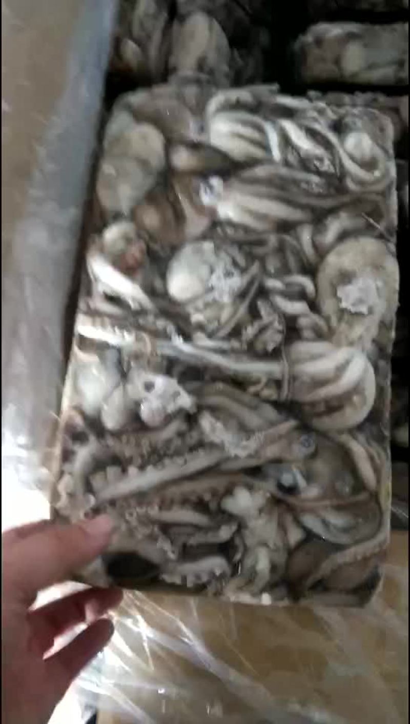 原汁八爪鱼，不泡水