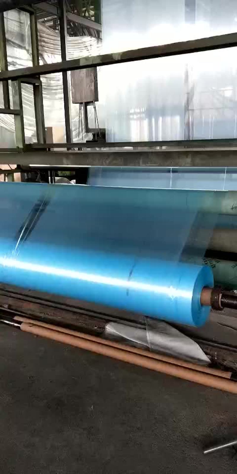 蓝长寿