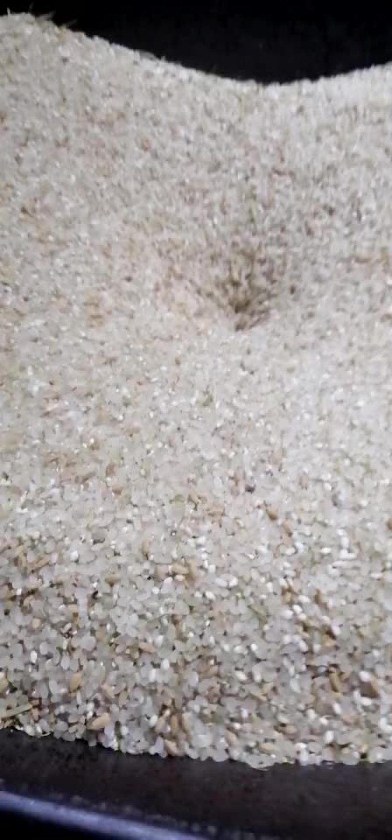 水产种苗