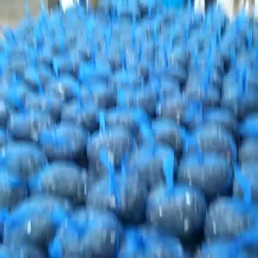 水产种苗