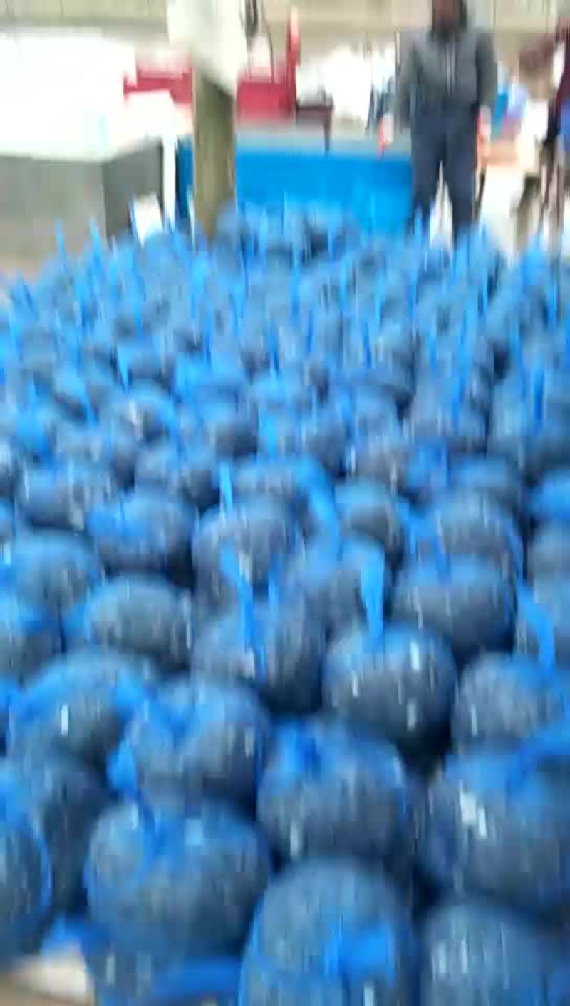 水产种苗