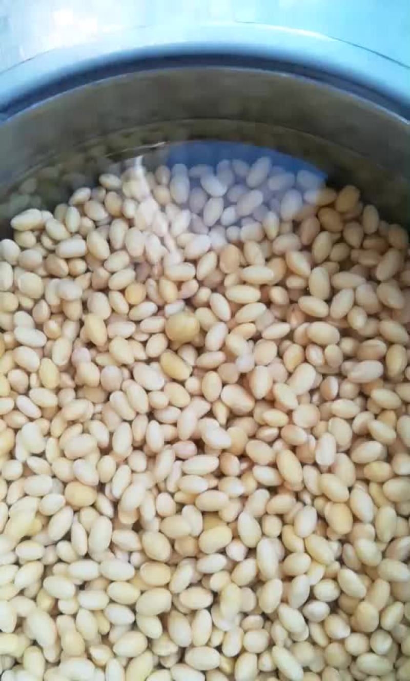 黄黄豆