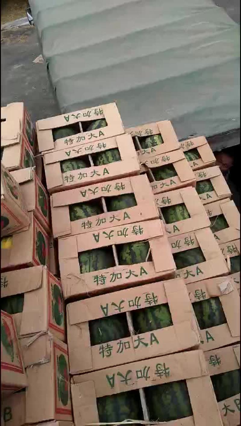 甜王