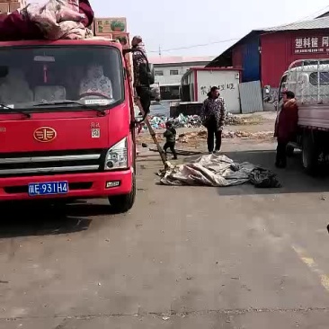 甜王