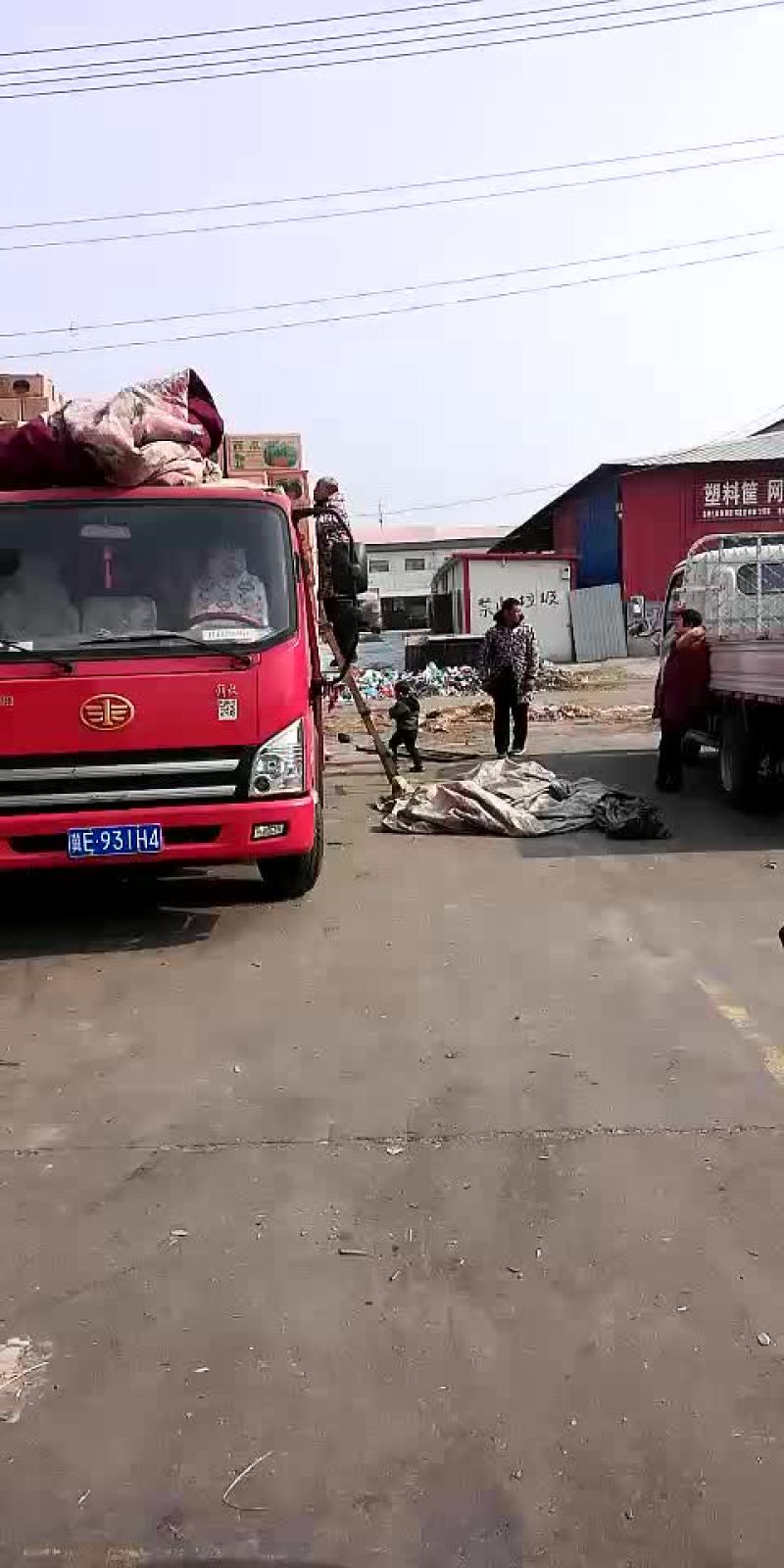 甜王