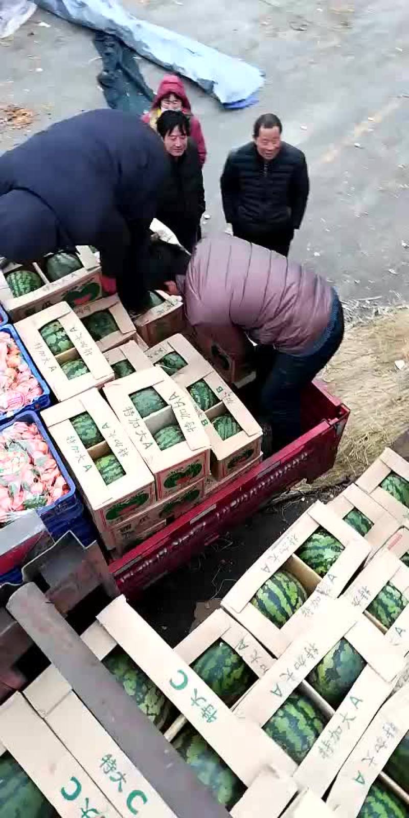 甜王