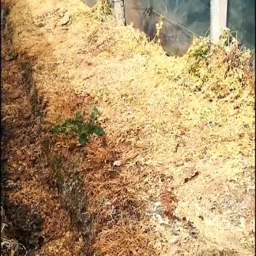 这个货，大家评给好。