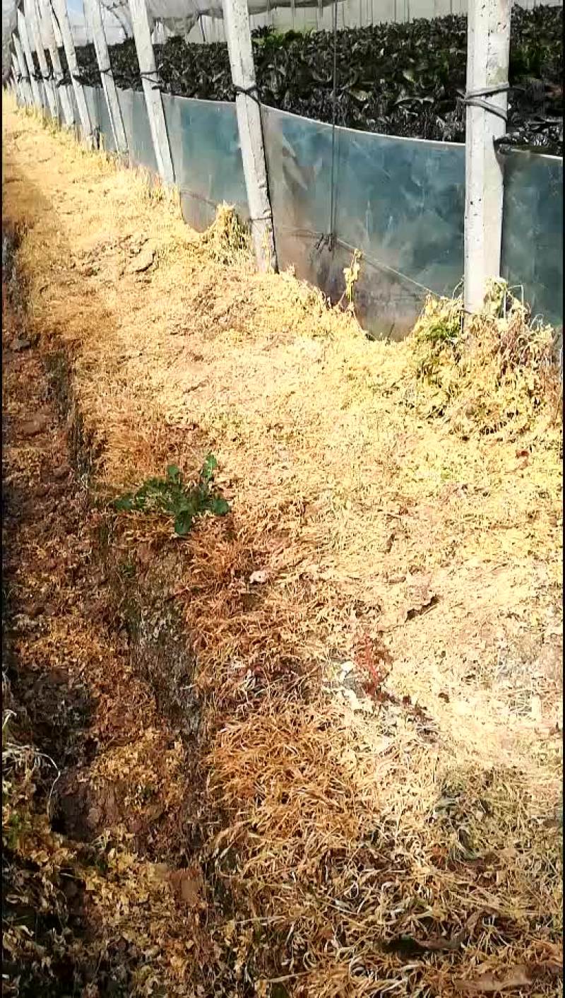 这个货，大家评给好。