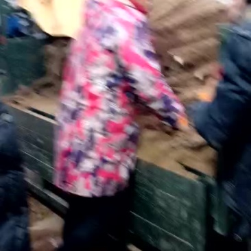 麻山药