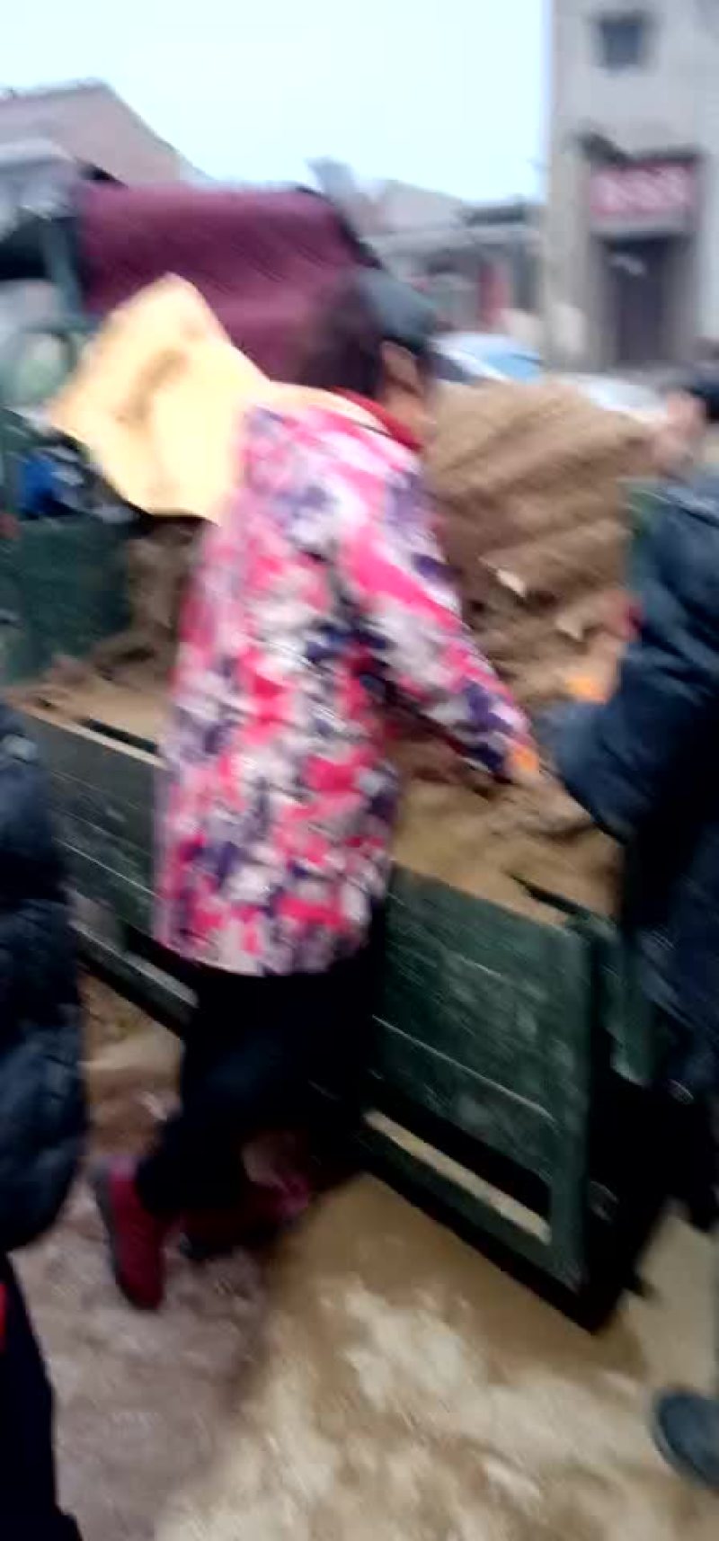 麻山药