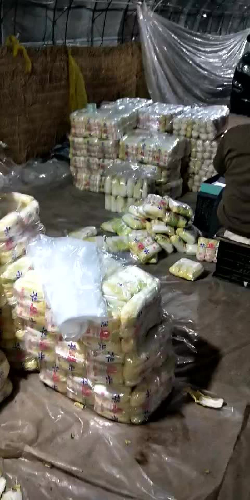 大小娃娃