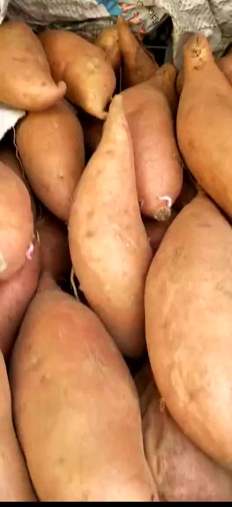 山楂地瓜有货