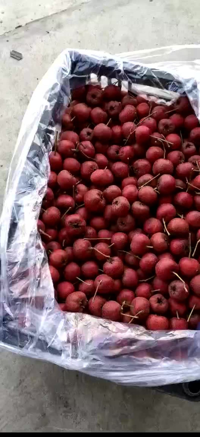 山楂地瓜有货