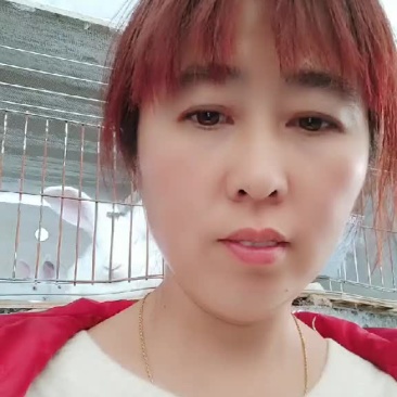 新西兰大白兔抗病能力强，繁殖量多，价格低，回报快。