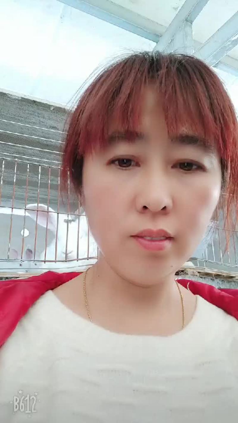 新西兰大白兔抗病能力强，繁殖量多，价格低，回报快。