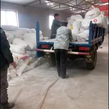 红薯淀粉