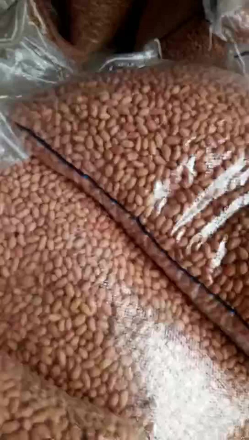 筛选米
