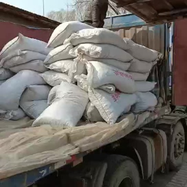 蓖麻饼