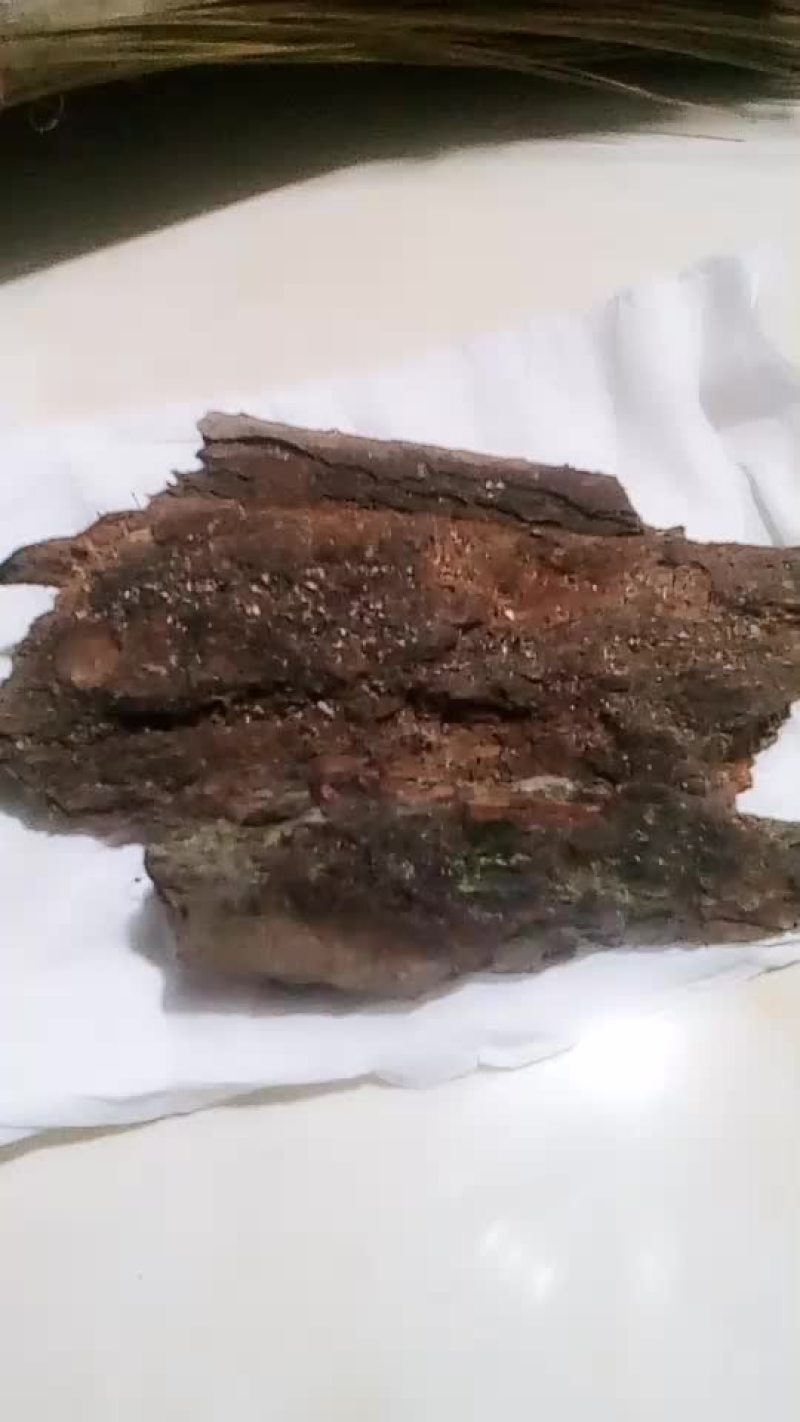 松树皮枞树壳