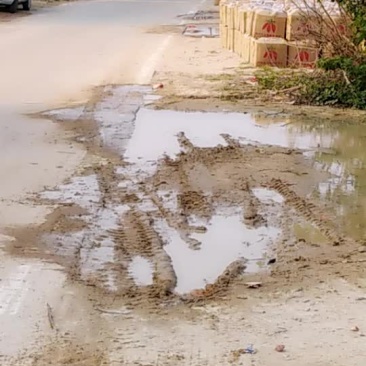 纯沙地西瓜红