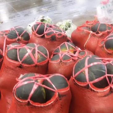 缅甸进口板栗南瓜